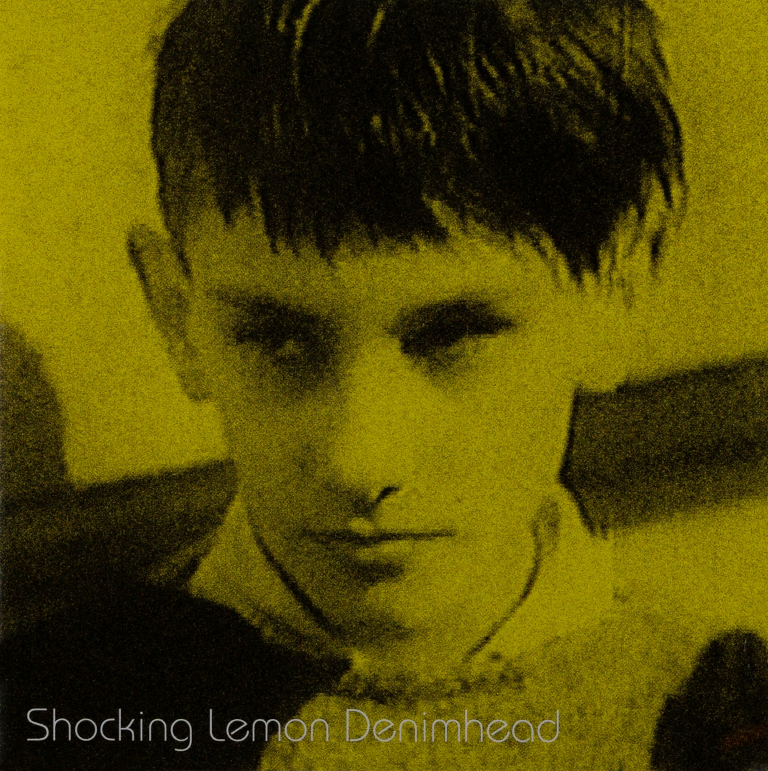 Cover of Denimhead