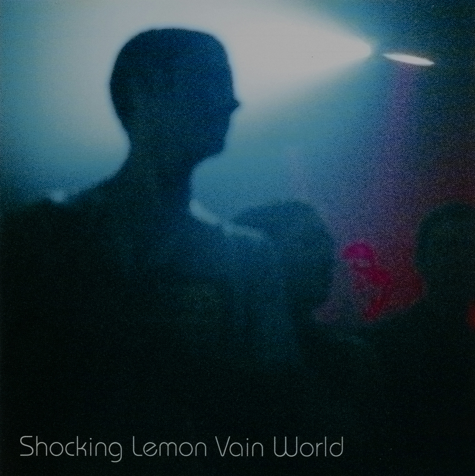Cover of Vain World